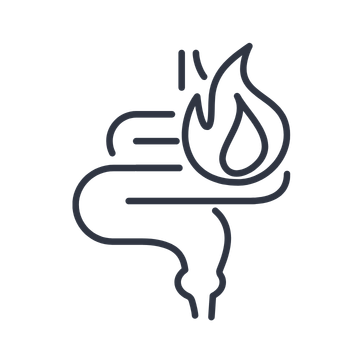 Entzündungen Magen Icon